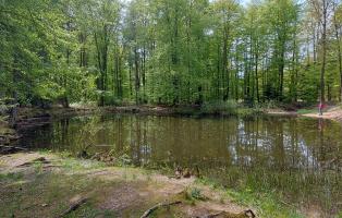 Kuhtränke in Ihrlerstein