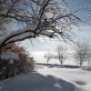 Naturfreundehaus Römerstein im Winter