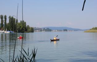 Kanuten auf dem Bodensee